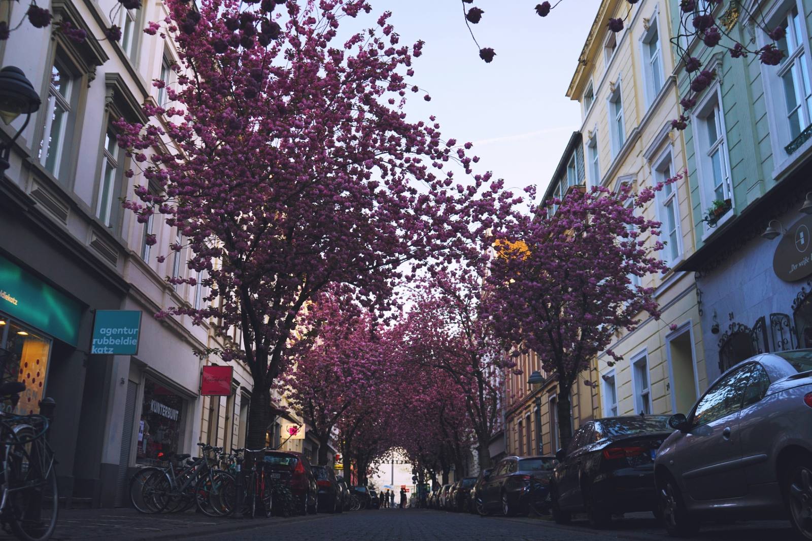Bonn Stadtbild